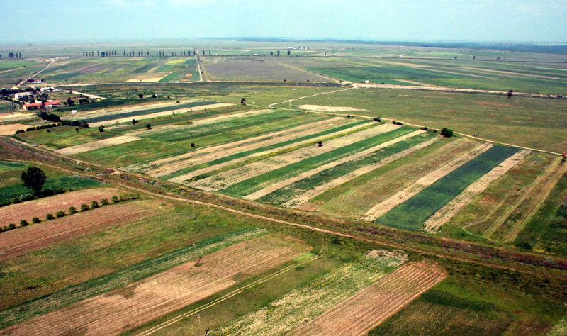 terenuri-agricole